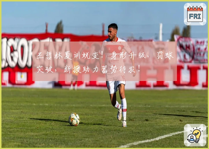 王哲林夏训蜕变！身形升级，罚球突破，新援助力蓄势待发！